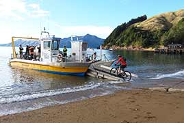 Take the barge and mountain bike around d'Urville Island