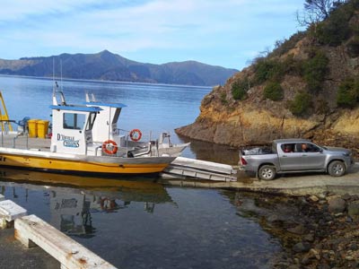 Take your car to d'Urville Island